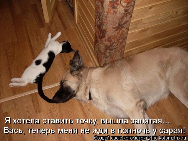 Я хотела ставить точку, вышла запятая... Вась, теперь меня не жди в полночь у сарая!... Котоматрица: Я хотела ставить точку, вышла запятая... Вась, теперь меня не жди в полночь у сарая!