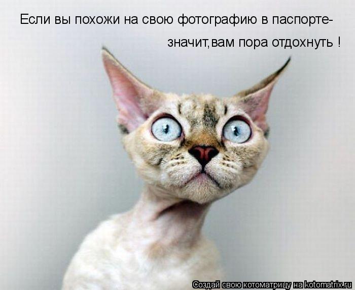 Если вы похожи на свою фотографию в паспорте- значит,вам пора отдохнуть !... Котоматрица: Если вы похожи на свою фотографию в паспорте- значит,вам пора отдохнуть !