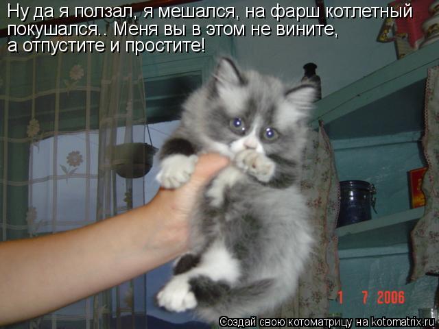 Ну да я ползал, я мешался, на фарш котлетный покушался.. Меня вы в этом не вините, а отпустите и пр... Котоматрица: Ну да я ползал, я мешался, на фарш котлетный покушался.. Меня вы в этом не вините, а отпустите и простите!