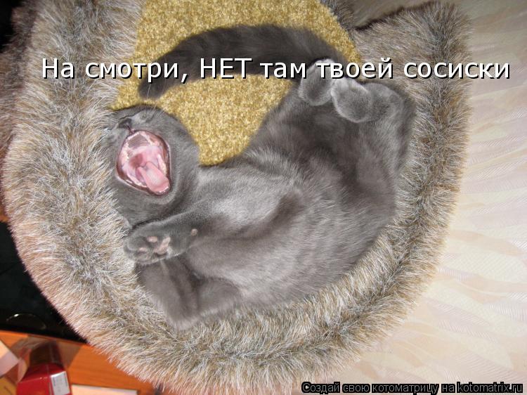 На смотри, НЕТ там твоей сосиски... Котоматрица: На смотри, НЕТ там твоей сосиски