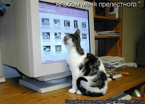 "Альбом меня прелестного."... Котоматрица: "Альбом меня прелестного."