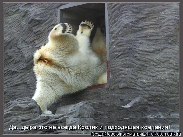 Да...дыра это не всегда Кролик и подходящая компания!... Котоматрица: Да...дыра это не всегда Кролик и подходящая компания!