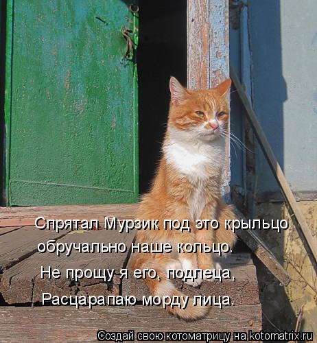 Спрятал Мурзик под это крыльцо обручально наше кольцо. Не прощу я его, подлеца, Расцарапаю морду лица... Котоматрица: Спрятал Мурзик под это крыльцо обручально наше кольцо. Не прощу я его, подлеца, Расцарапаю морду лица.