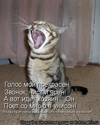 Котоматрица: Голос мой прекрасен, Звонок, чист и ясен! А вот идет хозяин... Он Поет со мною в унисон! *пойду-ка от греха подальше, что-то он сильно распелся*