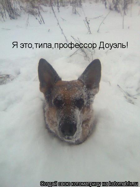 Я это,типа,профессор Доуэль!... Котоматрица: Я это,типа,профессор Доуэль!