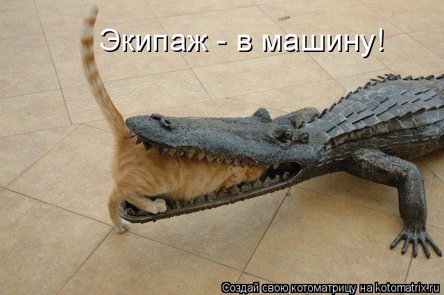 Экипаж - в машину!... Котоматрица: Экипаж - в машину!