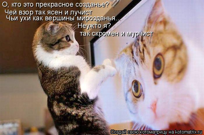 О, кто это прекрасное созданье? Чей взор так ясен и лучист Чьи ухи как вершины мирозданья... Неужто я... Котоматрица: О, кто это прекрасное созданье? Чей взор так ясен и лучист Чьи ухи как вершины мирозданья... Неужто я? так скромен и мурчист
