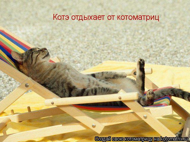 Котэ отдыхает от котоматриц... Котоматрица: Котэ отдыхает от котоматриц