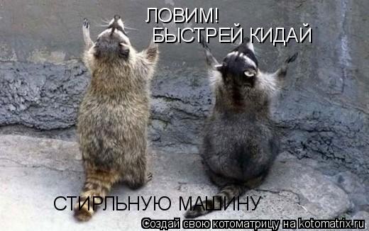 ЛОВИМ! БЫСТРЕЙ КИДАЙ СТИРЛЬНУЮ МАШИНУ... Котоматрица: ЛОВИМ! БЫСТРЕЙ КИДАЙ СТИРЛЬНУЮ МАШИНУ