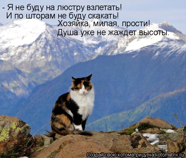- Я не буду на люстру взлетать! И по шторам не буду скакать! Душа уже не жаждет высоты. Хозяйка, мила... Котоматрица: - Я не буду на люстру взлетать! И по шторам не буду скакать! Душа уже не жаждет высоты. Хозяйка, милая, прости!