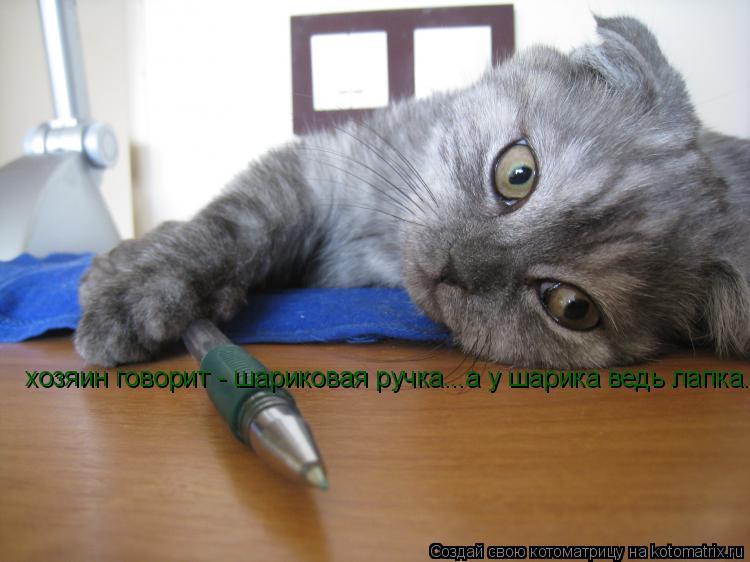 хозяин говорит - шариковая ручка...а у шарика ведь лапка..... Котоматрица: хозяин говорит - шариковая ручка...а у шарика ведь лапка..