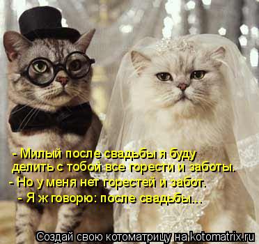 - Милый после свадьбы я буду делить с тобой все горести и заботы. - Но у меня нет горестей и забот... Котоматрица: - Милый после свадьбы я буду делить с тобой все горести и заботы. - Но у меня нет горестей и забот. - Я ж говорю: после свадьбы...