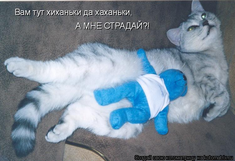 Вам тут хиханьки да хаханьки, А МНЕ СТРАДАЙ?!... Котоматрица: Вам тут хиханьки да хаханьки, А МНЕ СТРАДАЙ?!