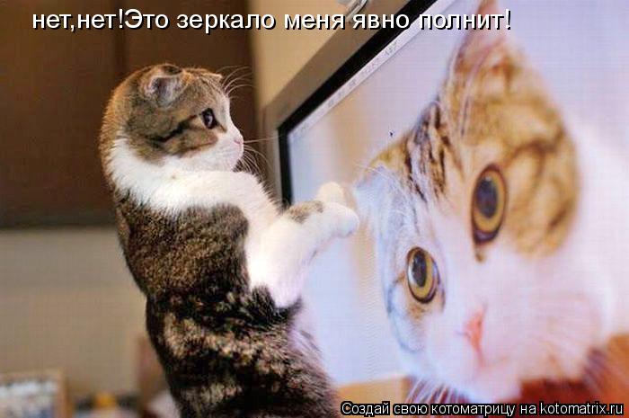 нет,нет!Это зеркало меня явно полнит!... Котоматрица: нет,нет!Это зеркало меня явно полнит!