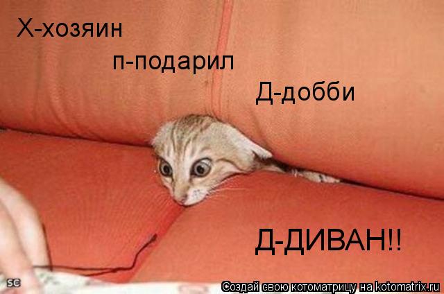 Х-хозяин п-подарил Д-добби Д-ДИВАН!!... Котоматрица: Х-хозяин п-подарил Д-добби Д-ДИВАН!!