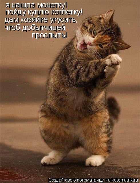 я нашла монетку! пойду куплю котлетку! дам хозяйке укусить, чтоб добытчицей прослыть!... Котоматрица: я нашла монетку! пойду куплю котлетку! дам хозяйке укусить, чтоб добытчицей прослыть!