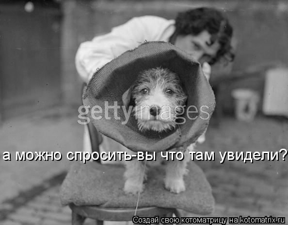 а можно спросить-вы что там увидели?... Котоматрица: а можно спросить-вы что там увидели?