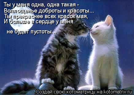 Воплощенье доброты и красоты... Ты у меня одна, одна такая - Ты прекраснее всех красок мая, И больше... Котоматрица: Воплощенье доброты и красоты... Ты у меня одна, одна такая - Ты прекраснее всех красок мая, И больше в сердце у меня не будет пустоты...