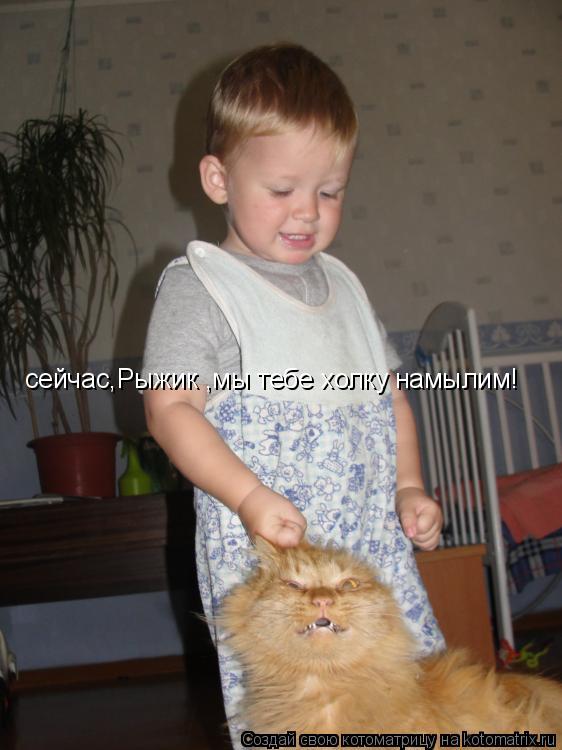 сейчас,Рыжик ,мы тебе холку намылим!... Котоматрица: сейчас,Рыжик ,мы тебе холку намылим!