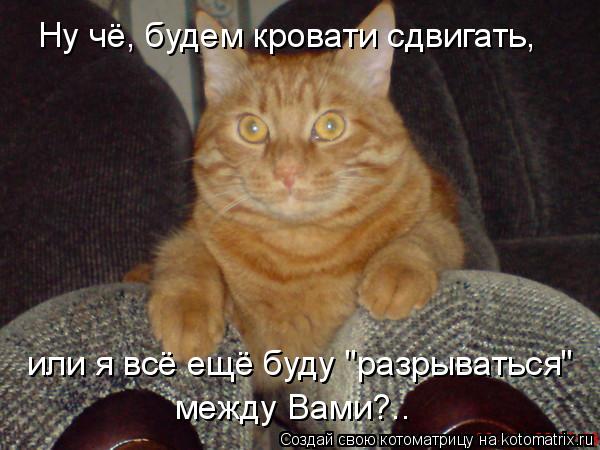 Ну чё, будем кровати сдвигать, или я всё ещё буду "разрываться" между Вами?..... Котоматрица: Ну чё, будем кровати сдвигать, или я всё ещё буду "разрываться" между Вами?..