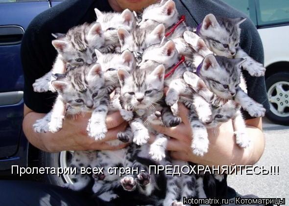 Пролетарии всех стран - ПРЕДОХРАНЯЙТЕСЬ!!!... Котоматрица: Пролетарии всех стран - ПРЕДОХРАНЯЙТЕСЬ!!!