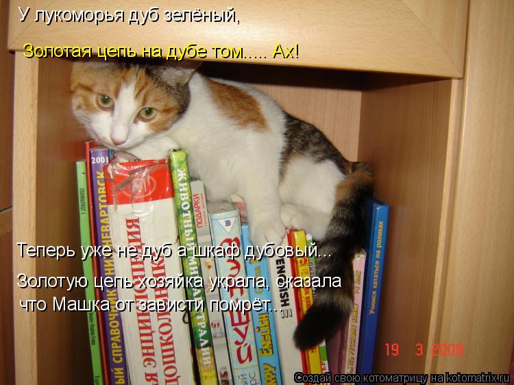 У лукоморья дуб зелёный, Золотая цепь на дубе том..... Ах! что Машка от зависти помрёт... Золотую цеп... Котоматрица: У лукоморья дуб зелёный, Золотая цепь на дубе том..... Ах! что Машка от зависти помрёт... Золотую цепь хозяйка украла, сказала Теперь уже не дуб
