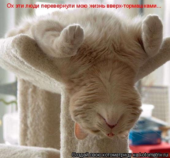 Ох эти люди перевернули мою жизнь вверх-тормашками...... Котоматрица: Ох эти люди перевернули мою жизнь вверх-тормашками...