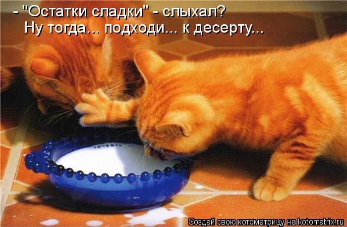 - "Остатки сладки" - слыхал? Ну тогда... подходи... к десерту...... Котоматрица: - "Остатки сладки" - слыхал? Ну тогда... подходи... к десерту...