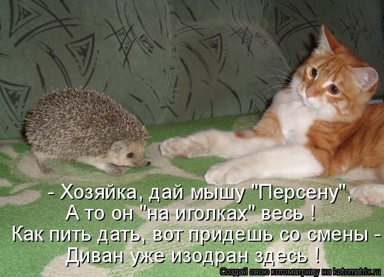 - Хозяйка, дай мышу "Персену", Как пить дать, вот придешь со смены - А то он "на иголках" весь ! Дива... Котоматрица: - Хозяйка, дай мышу "Персену", Как пить дать, вот придешь со смены - А то он "на иголках" весь ! Диван уже изодран здесь !
