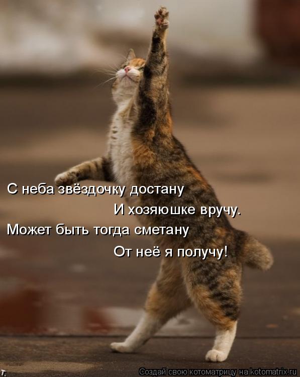 С неба звёздочку достану И хозяюшке вручу. Может быть тогда сметану От неё я получу!... Котоматрица: С неба звёздочку достану И хозяюшке вручу. Может быть тогда сметану От неё я получу!