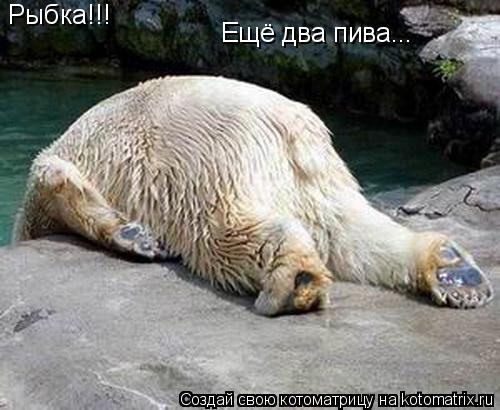 Рыбка!!! Ещё два пива...... Котоматрица: Рыбка!!! Ещё два пива...