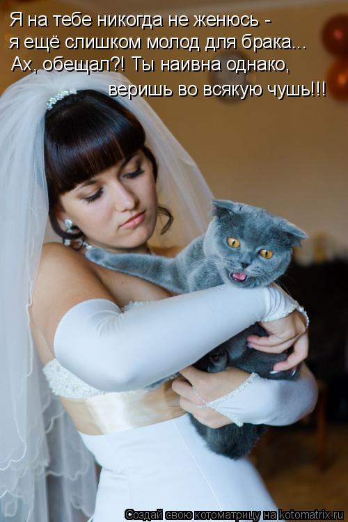 Я на тебе никогда не женюсь - я ещё слишком молод для брака... Ах, обещал?! Ты наивна однако, веришь ... Котоматрица: Я на тебе никогда не женюсь - я ещё слишком молод для брака... Ах, обещал?! Ты наивна однако, веришь во всякую чушь!!!
