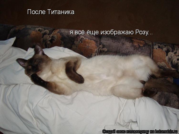 После Титаника я всё ёще изображаю Розу...... Котоматрица: После Титаника я всё ёще изображаю Розу...