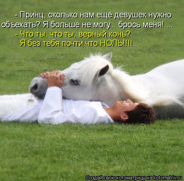 - Принц, сколько нам ещё девушек нужно объехать? Я больше не могу... брось меня!.... - Что ты, что т... Котоматрица: - Принц, сколько нам ещё девушек нужно объехать? Я больше не могу... брось меня!.... - Что ты, что ты, верный конь? Я без тебя почти что НОЛЬ!!!!