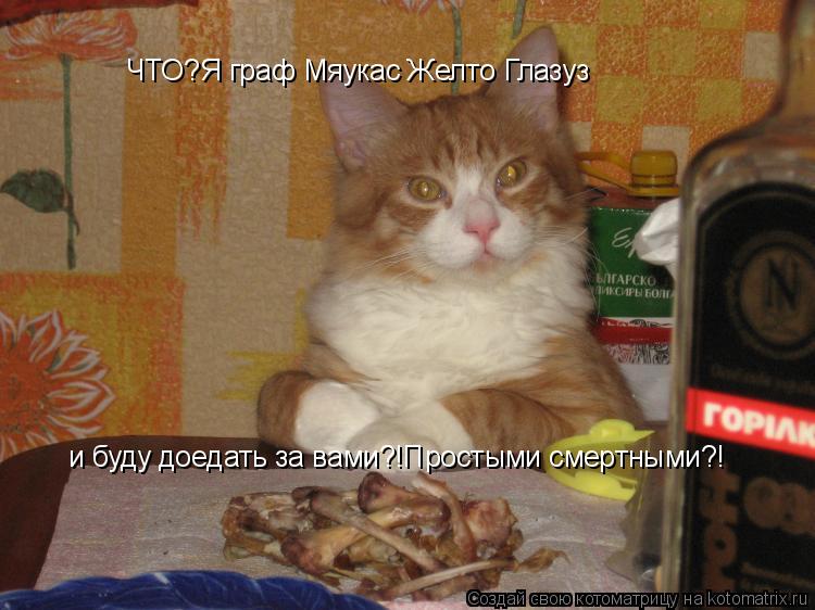 ЧТО?Я граф Мяукас Желто Глазуз и буду доедать за вами?!Простыми смертными?!... Котоматрица: ЧТО?Я граф Мяукас Желто Глазуз и буду доедать за вами?!Простыми смертными?!