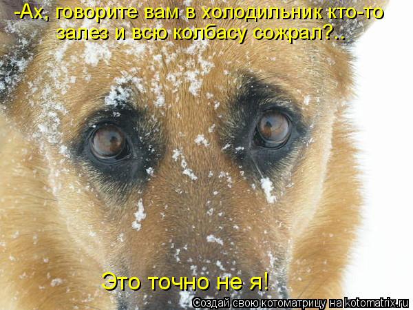 -Ах, говорите вам в холодильник кто-то залез и всю колбасу сожрал?.. Это точно не я!... Котоматрица: -Ах, говорите вам в холодильник кто-то залез и всю колбасу сожрал?.. Это точно не я!