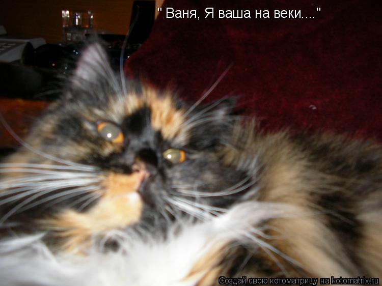 " Ваня, Я ваша на веки...."... Котоматрица: " Ваня, Я ваша на веки...."