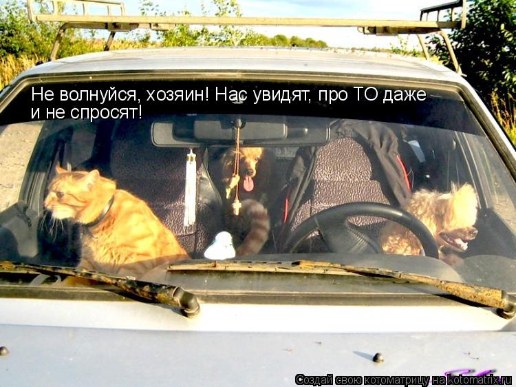 Не волнуйся, хозяин! Нас увидят, про ТО даже и не спросят!... Котоматрица: Не волнуйся, хозяин! Нас увидят, про ТО даже и не спросят!