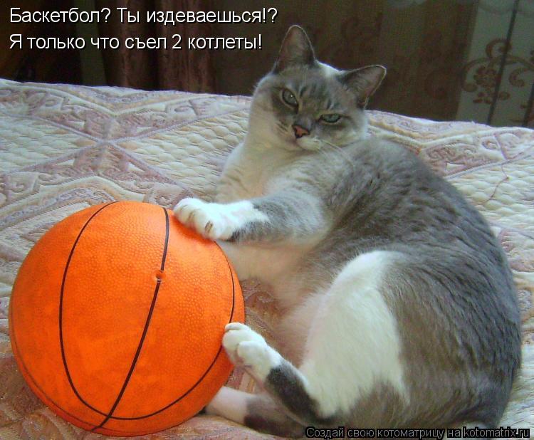 Баскетбол? Ты издеваешься!? Я только что съел 2 котлеты!... Котоматрица: Баскетбол? Ты издеваешься!? Я только что съел 2 котлеты!