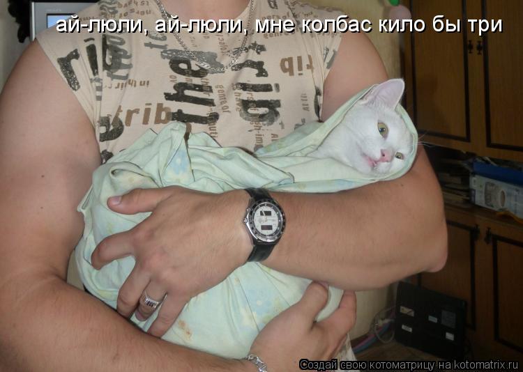ай-люли, ай-люли, мне колбас кило бы три... Котоматрица: ай-люли, ай-люли, мне колбас кило бы три
