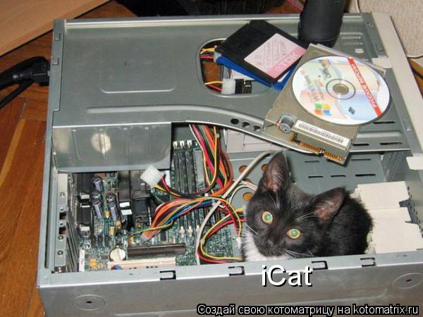 iCat... Котоматрица: iCat