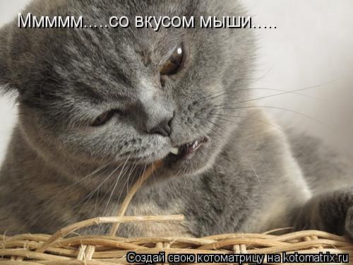 Ммммм.....со вкусом мыши........ Котоматрица: Ммммм.....со вкусом мыши.....