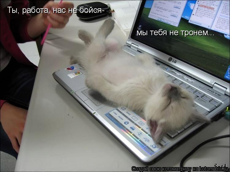 Ты, работа, нас не бойся- мы тебя не тронем...... Котоматрица: Ты, работа, нас не бойся- мы тебя не тронем...