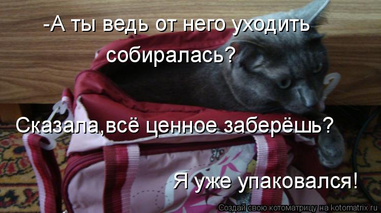 -А ты ведь от него уходить собиралась? Сказала,всё ценное заберёшь? Я уже упаковался!... Котоматрица: -А ты ведь от него уходить собиралась? Сказала,всё ценное заберёшь? Я уже упаковался!