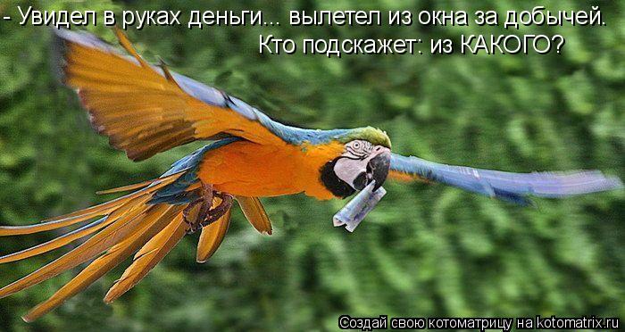 - Увидел в руках деньги... вылетел из окна за добычей. Кто подскажет: из КАКОГО?... Котоматрица: - Увидел в руках деньги... вылетел из окна за добычей. Кто подскажет: из КАКОГО?
