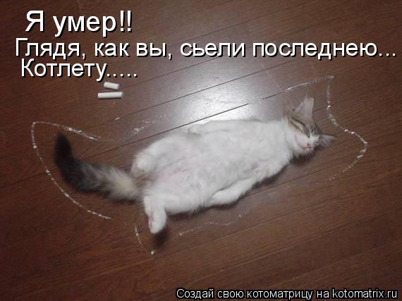 Я умер!! Я умер!! Глядя, как вы, сьели последнею... Котлету........ Котоматрица: Я умер!! Я умер!! Глядя, как вы, сьели последнею... Котлету.....