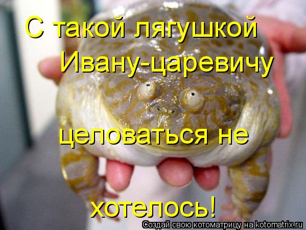 С такой лягушкой Ивану-царевичу целоваться не хотелось!... Котоматрица: С такой лягушкой Ивану-царевичу целоваться не хотелось!