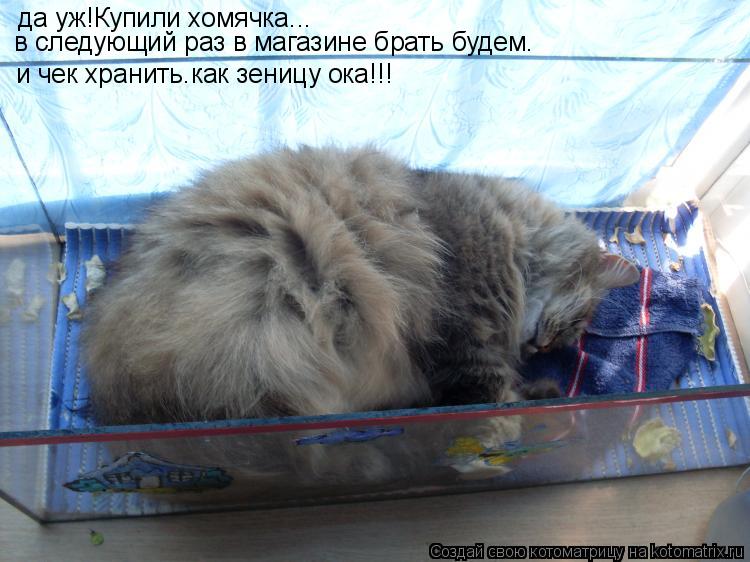 Котоматрица: да уж!Купили хомячка... в следующий раз в магазине брать будем. и чек хранить.как зеницу ока!!!