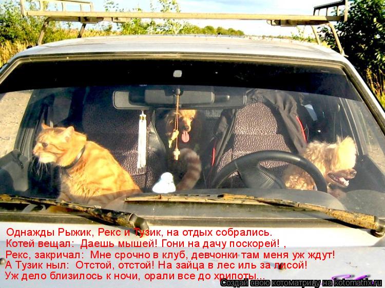 Однажды Рыжик, Рекс и Тузик, на отдых собрались. Котей вещал: «Даешь мышей! Гони на дачу поскорей!», ... Котоматрица: Однажды Рыжик, Рекс и Тузик, на отдых собрались. Котей вещал: «Даешь мышей! Гони на дачу поскорей!», Рекс, закричал: «Мне срочно в клуб, девчон