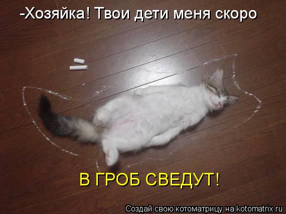 -Хозяйка! Твои дети меня скоро В ГРОБ СВЕДУТ!... Котоматрица: -Хозяйка! Твои дети меня скоро В ГРОБ СВЕДУТ!